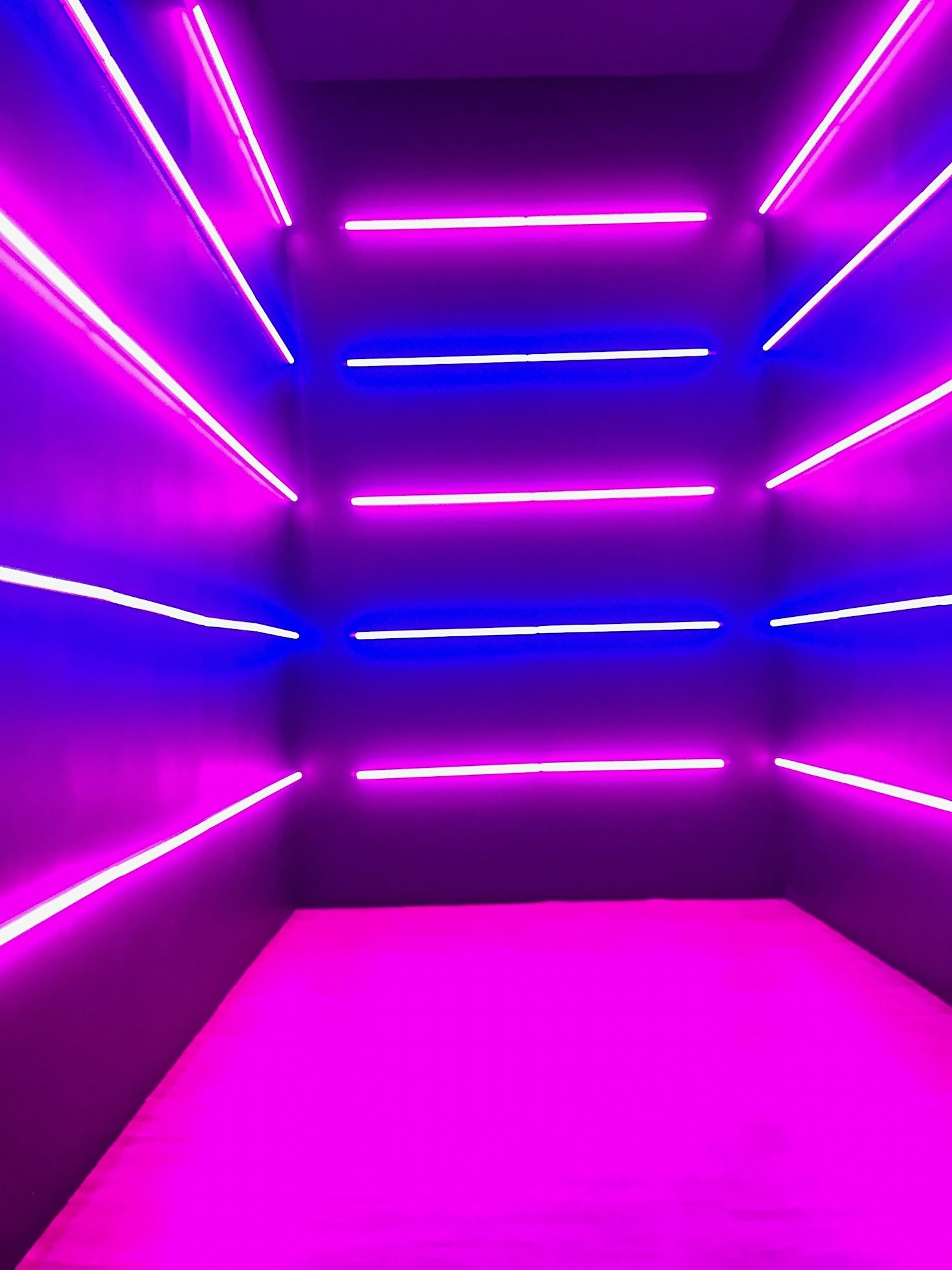 How NeonFlusker is Shaping the Future